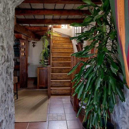 Etno Kompleks Orahovac - Paun