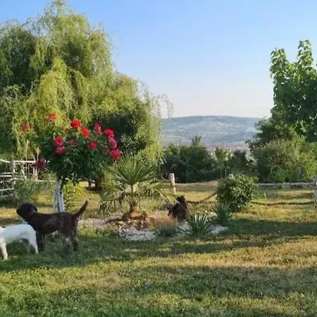 Etno Kompleks Orahovac - Paun 木屋 Vrbica (Arandelovac)