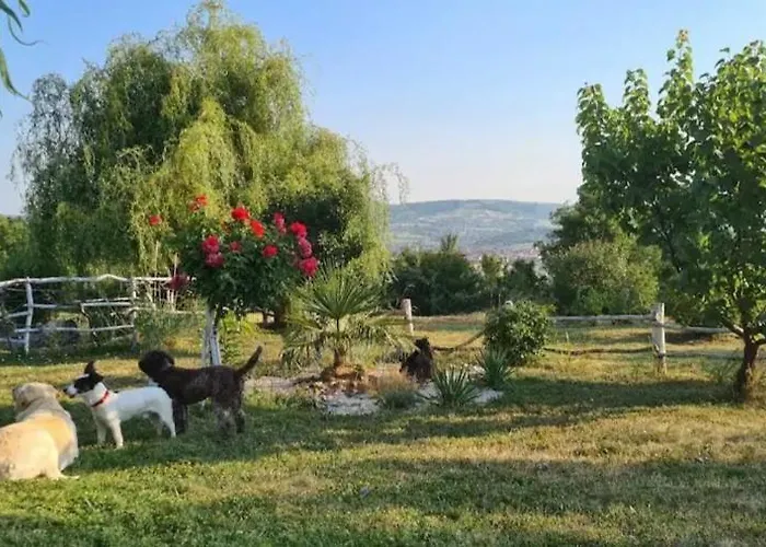 Etno Kompleks Orahovac - Paun 샬레 Vrbica (Arandelovac)